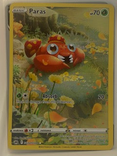 Paras  gg32